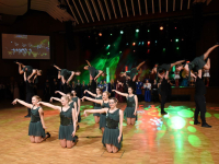 180204 stadt-landball2018-136