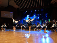 180204 stadt-landball2018-162