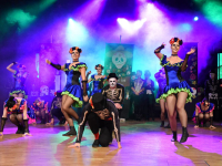 180204 stadt-landball2018-221