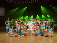 190204 stadt-landball 0359