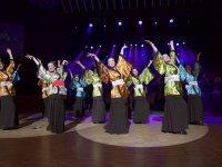 190204 stadt-landball 9188